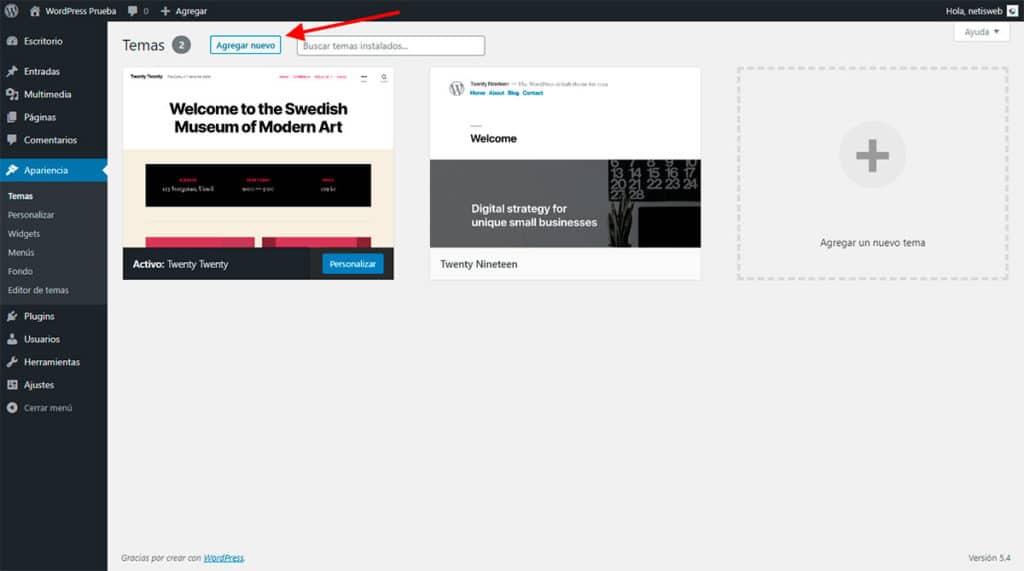 Crear Página Web WordPress Elegir Theme