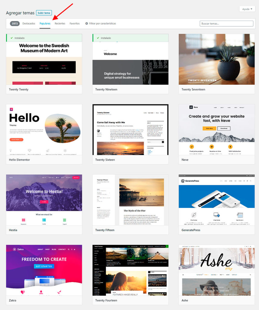 Crear Pagina Web WordPress Theme
